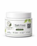 The Care Leaf Night Cream
